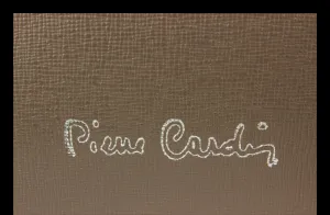 Pierre Cardin 1469 Frenzy Terra