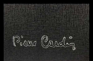 Pierre Cardin 1469 Frenzy Nero