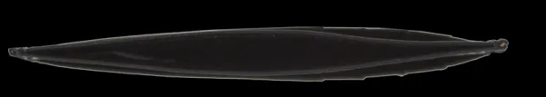NovaKabelka.sk OP-8421 Nero