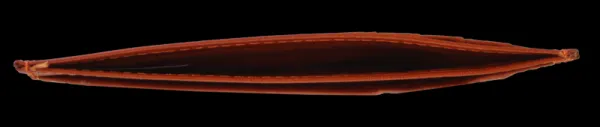 NovaKabelka.sk OP-8421 Arancio