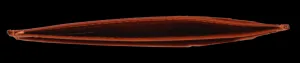 NovaKabelka.sk OP-8421 Arancio