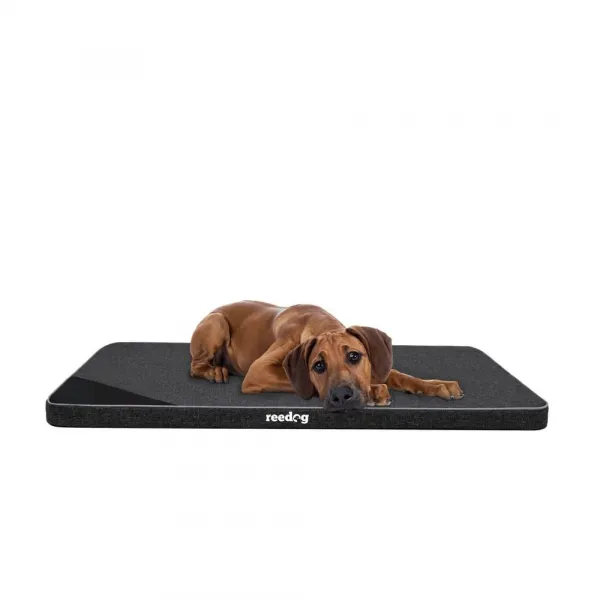 Reedog Thin Ekolen Black Matrac pre psa