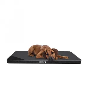 Reedog Thin Ekolen Black Matrac pre psa