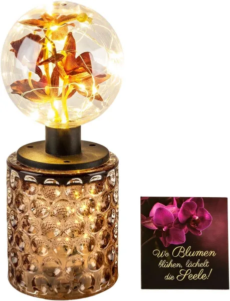 Weltbild LED dekorativní světlo Flor v dárkové krabičce