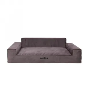 Reedog Glamour Fancy Brown Pelech pre psa