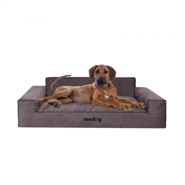 Reedog Glamour Fancy Brown Pelech pre psa