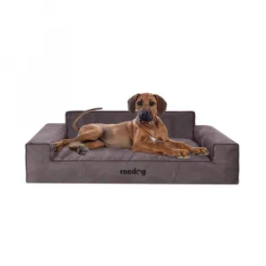 Reedog Glamour Fancy Brown Pelech pre psa