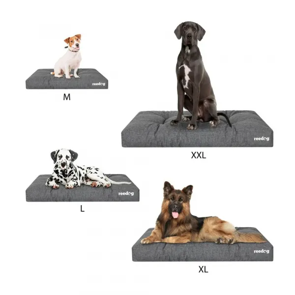 Reedog Grand Light Grafit Matrac pre psa