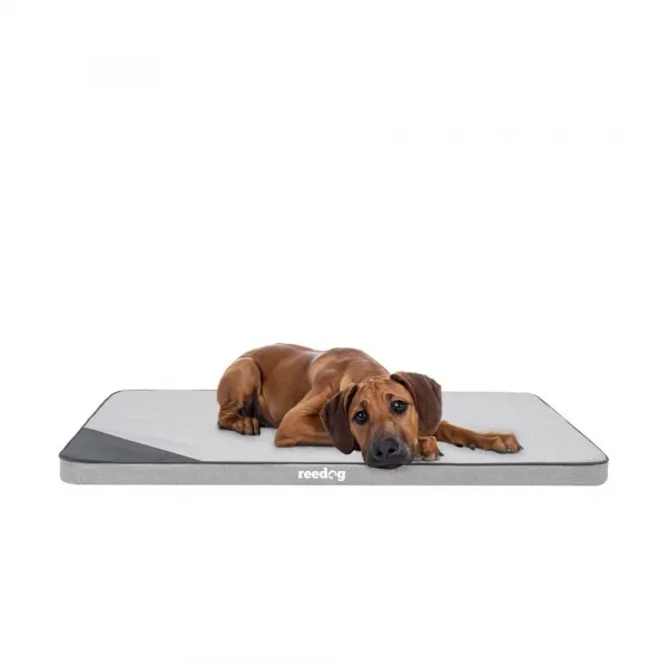 Reedog Thin Ekolen Ash Matrac pre psa