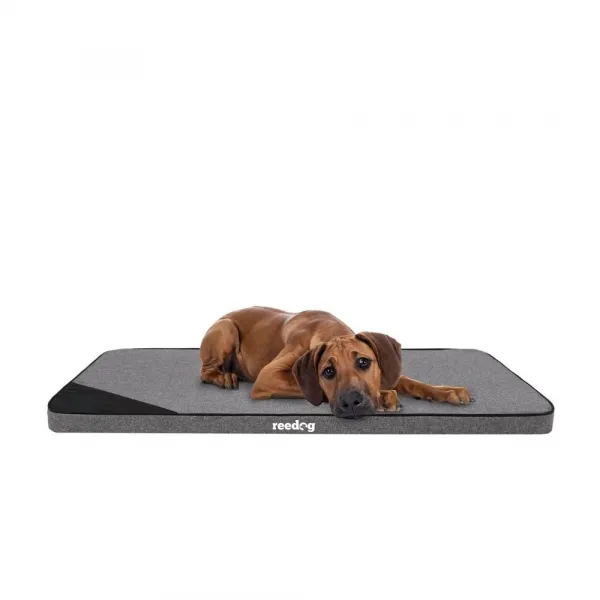 Reedog Thin Ekolen Grafit Matrac pre psa - M