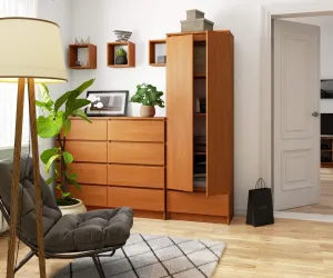 Uzavretý regál R60 2D 1SZ CLP olcha
