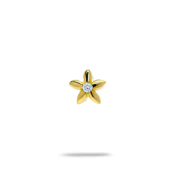 Blink-Blink Diamantové náušnice kvietok 0.03 ct3102ZDG
