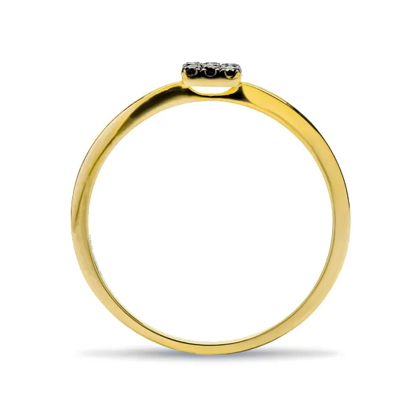 Blink-Blink Zlatý prsteň čierne diamanty 0.06 ct1476ZCDG