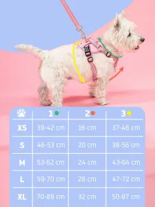PuppyJoy Súprava postroja a vodítka pre psov YIKS veľ. L čierna