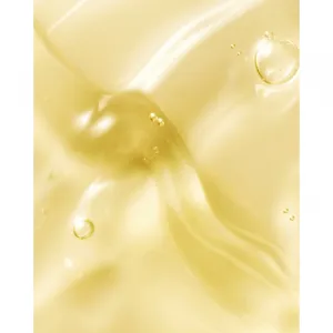 AYUNCHE Pro Polish Oil olej na vlasy na lesk a hebkosť vlasov 100 ml