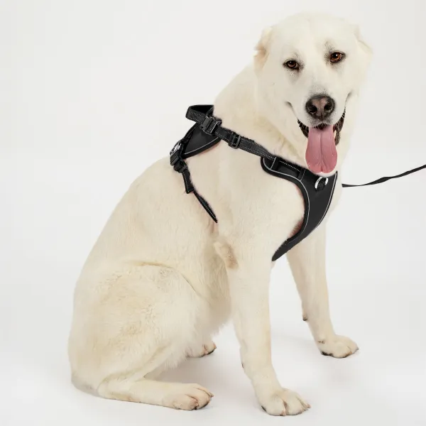 PuppyJoy Súprava postroja a vodítka pre psov YIKS veľ. L čierna