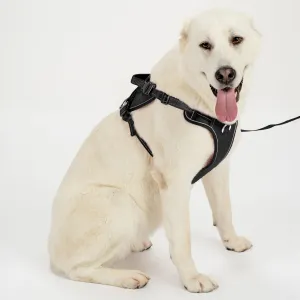 PuppyJoy Súprava postroja a vodítka pre psov YIKS veľ. L čierna