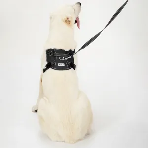 PuppyJoy Súprava postroja a vodítka pre psov YIKS veľ. L čierna