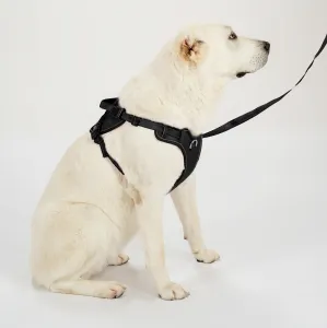 PuppyJoy Súprava postroja a vodítka pre psov YIKS veľ. L čierna