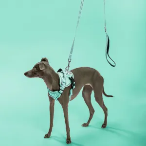 PuppyJoy Súprava postroja a vodítka pre psov YIKS veľ. S zelená