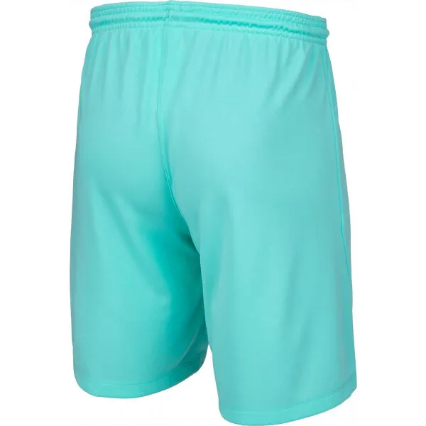 Nike DRI-FIT PARK 3 Pánske kraťasy, tyrkysová, veľkosť