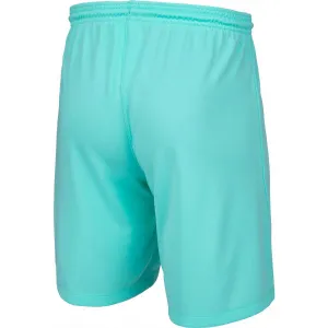 Nike DRI-FIT PARK 3 Pánske kraťasy, tyrkysová, veľkosť