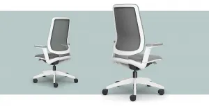 SEDUS kancelárska stolička se:flex ef-102