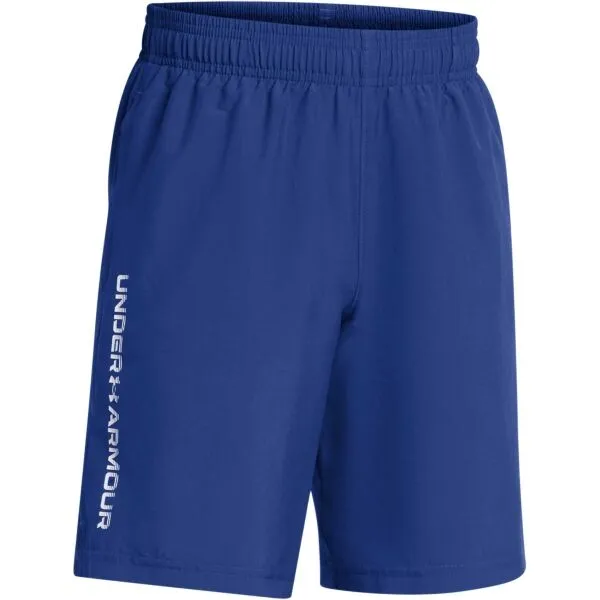 Boys' shorts Under Armour Tech Woven Wordmark Short