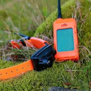 Kratší obojok pre ďalšieho  psa - DOG GPS X30B Short