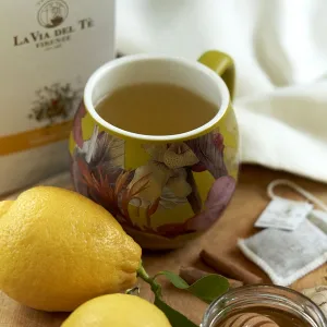 La Via Del Té Camilla Musa Mustard šálka 350 ml
