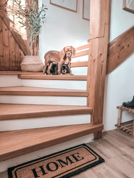Rohožka Mix Mats Home béžová