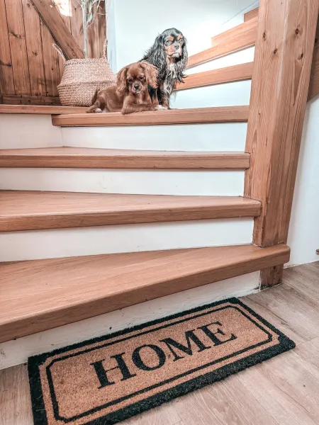 Rohožka Mix Mats Home béžová