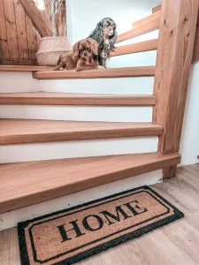 Rohožka Mix Mats Home béžová