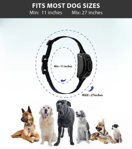 Patpet T710