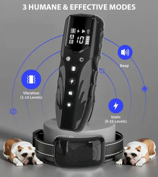 Patpet T710
