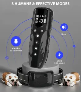 Patpet T710