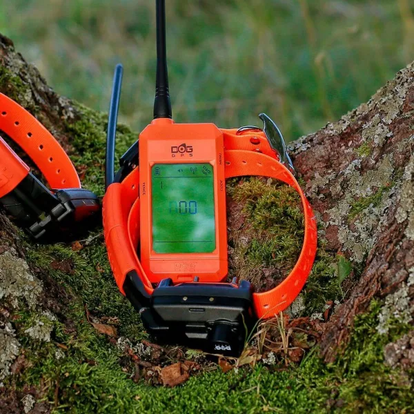 Kratší obojok pre ďalšieho psa - DOG GPS X25TB Short