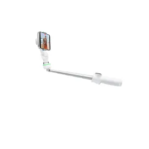 Insta360 Flow 2 Pro Standard Bundle Summit White INST904