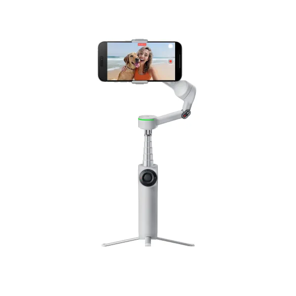 Insta360 Flow 2 Pro Standard Bundle Summit Stone Gray INST905