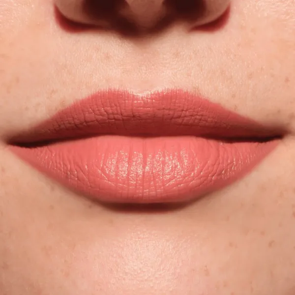 Catrice Lip Artist Matte Lipstick & Liner růž + ceruzka na pery s matným efektom odtieň 030 Best Friends Forever 1.74 g