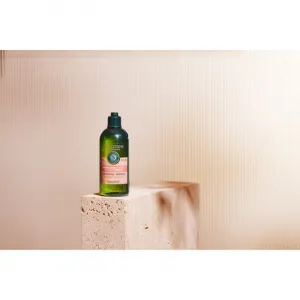 L’Occitane Intensive Repair Shampoo intenzívne regeneračný šampón pre suché a poškodené vlasy 300 ml