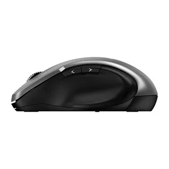 Genius Myš Ergo 8200S 31030029404, 1200DPI, 2.4 [GHz], optická, 5tl., bezdrátová, stříbrná, 1 ks AA, BlueEye senzor, USB-C adaptér