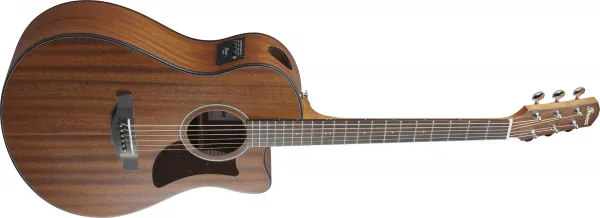 Ibanez AAM54CE-OPN Open Pore Natural Elektroakustická gitara Dreadnought