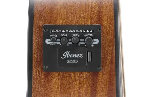 Ibanez AAM54CE-OPN Open Pore Natural Elektroakustická gitara Dreadnought
