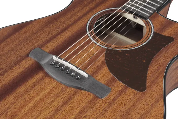 Ibanez AAM54CE-OPN Open Pore Natural Elektroakustická gitara Dreadnought
