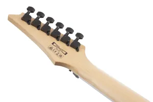 Ibanez GRG320FA-TKS Transparent Black Sunburst Elektrická gitara