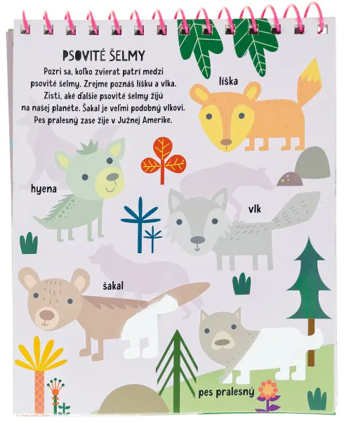 Kúzelné maľovanie Divočina