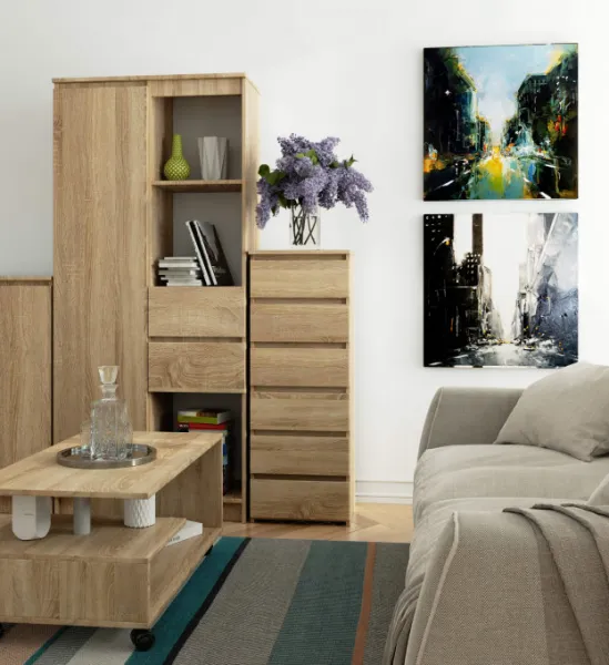 Ak furniture Komoda CL6 40 cm dub sonoma