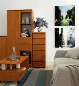 Ak furniture Komoda CL6 40 cm jelša