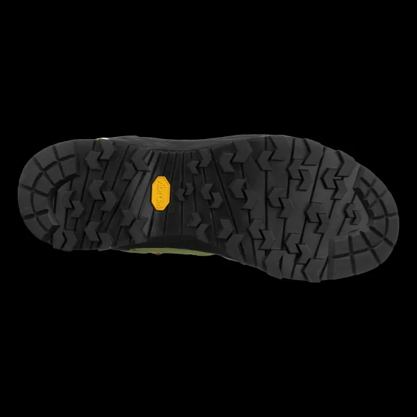 Pánska nízka turistická obuv SALEWA Alp Trainer 2 GTX Shoe M onyx black
